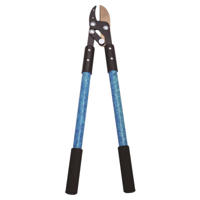 YX03121-