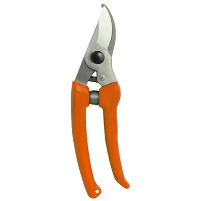 YX01121-
