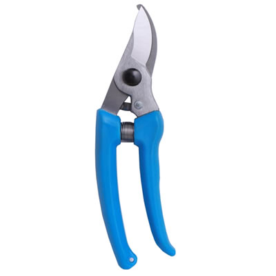 YX01121-